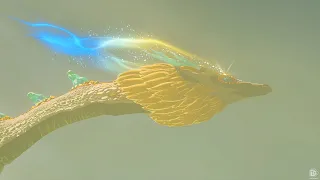 The Legend Of Zelda: Tears of the Kingdom - Link Finds out who the Light Dragon is (Spoilers)