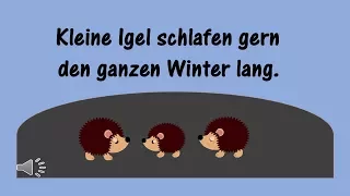 Kleine Igel schlafen gern