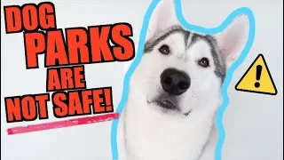 3 Reasons Why Dog Parks ARE VERY DANGEROUS!