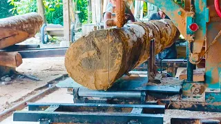 Unbelievable Discovery At My Sawmill Rare Timber Uncovered!
