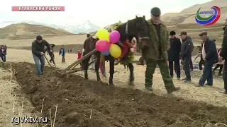 В Кулинском районе Дагестана отметили Праздник первой борозды