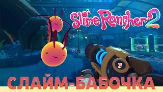 СЛАЙМЫ БАБОЧКИ | Slime Rancher 2