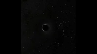 Binary Black Hole