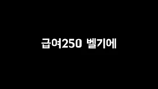 급여250 벨기에 스쿼드