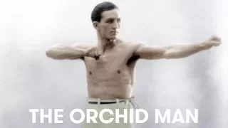 Georges Carpentier "The Orchid Man"