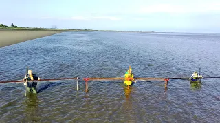 Haafnet Fishing on the Solway Firth near Annan