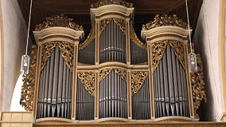 MENDELSSOHN ON SILBERMANN ORGAN - XAVER VARNUS (SONATA IN D MINOR)