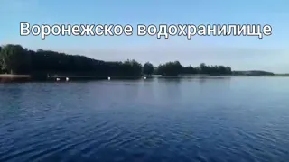 Подводная охота. Воронежское водохранилище...карась, линь! Лето 2019👍