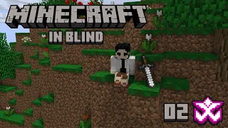 Il Diamante di Ego Balego - Minecraft in Blind #02 w/ Cydonia