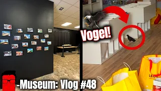 Taube attackiert das LEGO Museum 🦅 | Eingangsbereich bereit! | Vlog #48