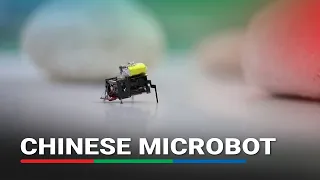 Chinese researchers invent bug-like microrobot with ultrafast untethered running speeds