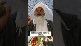 Making Halal meat ethical - Shaykh Hasan Ali #halal #ethical #vegan #animalcruelty #animalwelfare