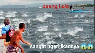 Seruh abis mancing ikan cakalang bersama Daeng Lala bikin merinding ikannya😱😱