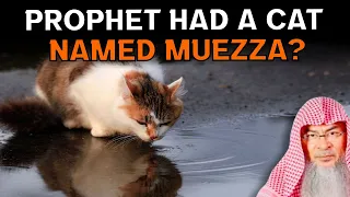 Is Keeping Cats Sunnah & did the Prophet ﷺ have a Cat named Muezza? assim al hakeem JAL