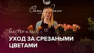 Уход за срезанными цветами ⎥ Как сохранить букет?