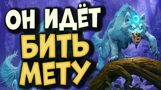 КЛОУН ДРУИД СНОВА В ИГРЕ - Жёсткие разборки с лидерами меты | Закаленные Степями