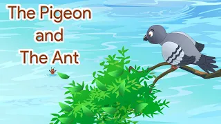 The Pigeon and The Ant | Galaxy Rhymes & Stories | Level C