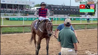 Rising Sprinter Earns First Grade 1 Victory in 2024 Churchill Downs Stakes