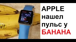 Макс Максимов. Apple НАШЕЛ пульс у БАНАНА. Банан жив! С ним все в порядке