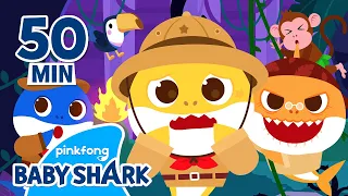 Baby Shark in the Jungle Doo doo doo | +Compilation | Baby Shark Songs | Baby Shark Officiail