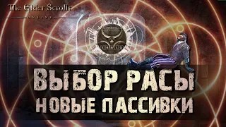 Teso. Выбор расы. Изменение расовых пассивок. Какую расу выбрать?