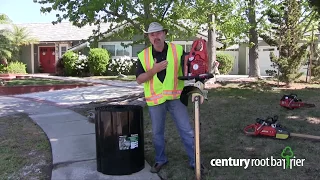 Root Barrier Installation - Santa Ana