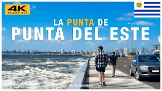 🇺🇾 La Punta de PUNTA del ESTE | Barrio Península | WALKING TOUR [ 4K ] #maldonado