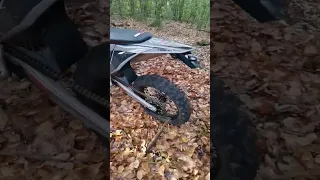 The 2023 GPX 300  TSE in the woods