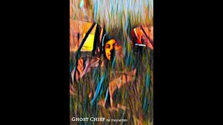 Ghost Chief - Chiefloc Madness (instrumental)