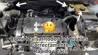 Como revisar todos los niveles del auto correctamente (rápido y fácil) 🤔 fluidos,aceite y anticong.