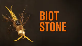 Biot Stone