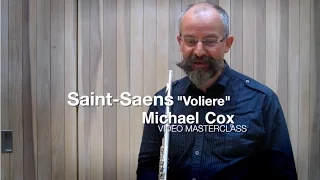 Carnival of the Animals "Volière" flute solo - Michael Cox