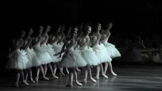 Il lago dei cigni / Swan Lake - Trailer (Teatro alla Scala)