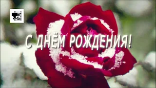 С днем рождения! Красивая видео открытка родившемуся в Феврале.