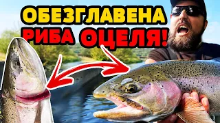 НЕВЕРОЯТНО!!! ХВАНАХМЕ над 100 ПЪСТЪРВИ! Съвети от шампиони по риболов на пъстърва