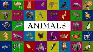 Animals | List of Animals with pictures | 100 Animal names for kids | Animal names in ENGLISH