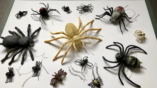 Zuru Robo Alive.Robotic Crawling Spider And Cockroach.Look at these Insects and Bug Toys