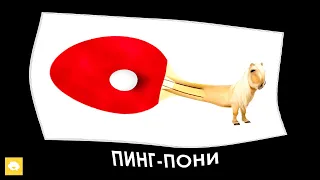 Спорт + ШИЗА =