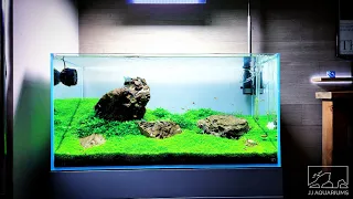 UPDATE | 90P Iwagumi Aquarium