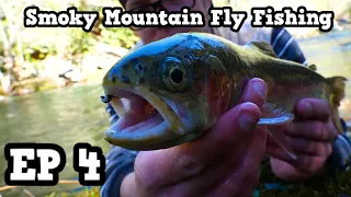 Fly Fishing The Smokies | The Little Pigeon River | EP 4