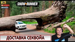 WISCONSIN ДОСТАВКА СЕКВОЙЯ НА ЖД SnowRunner