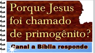 Porque Jesus foi chamado de primogênito? - estudo bíblico evangélico