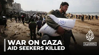 ‘Massacre’: Dozens killed by Israeli fire in Gaza while collecting food aid