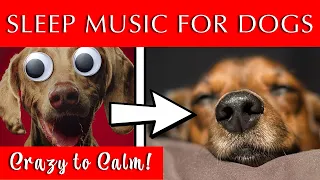 Play THIS for Your Dog to Sleep | Results in Minutes!