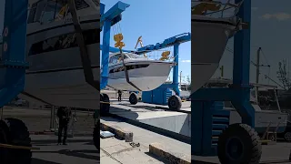 From Truck to Sea: Sealine C335 Launch into the Water #shorts