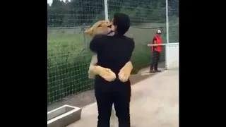 Lion Sees Her Adoptive Dad After 10 Years... (SHOCKING)