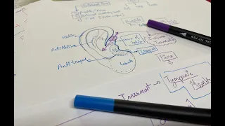 Pinna and Auditory canal: [External Ear (Part: 1)]