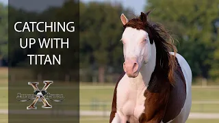 Catching Up With Titan and Silver Spurs Equine