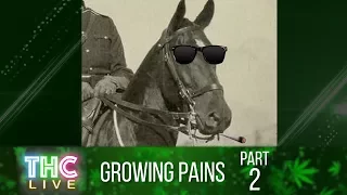 Growing Pains #2 - History of Cannabis