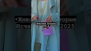 🐯Животные которые исчезнут в 2025 году💔 #shorts